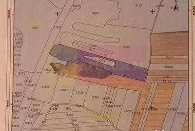 Teren în Albota - 1