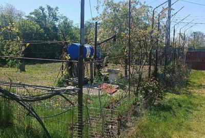 Casă cu Teren 1520 Mp în Frăsinet - 1