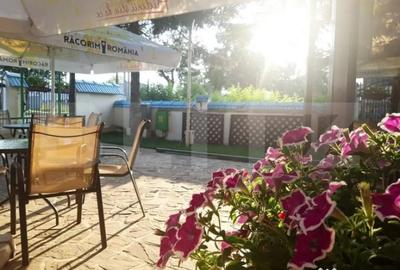 Casă cu 15 camere cu Teren 100 Mp în Albert - 2