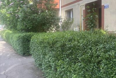 Apartament cu 3 camere decomandat în Nepos - 2
