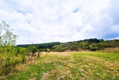 Teren 1,4 hectare Draganu Arges - 6