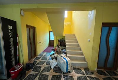 Vila agigea P+1+M inalt - 8