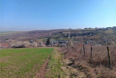 Teren de 83000 mp, în Vorovești - 2