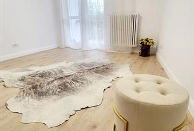 Apartament 2 camere decomandat, renovat, Cismigiu - 2