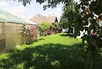 Teren de 12000 mp, în Ierbuș - 2