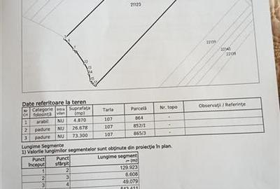 Padure de vanzare zona Comuna Draganesti sat Hatcarau - 5