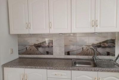 Apartament cu 3 camere semidecomandat în Ultracentral - 4