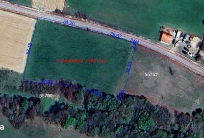 Teren de 4621 mp, în Lăzăreni - 1