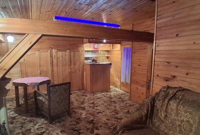 Casa Mehala, Timi?oara - 13