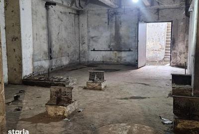 Spațiu comercial, de 700 mp, în Cernica - 12