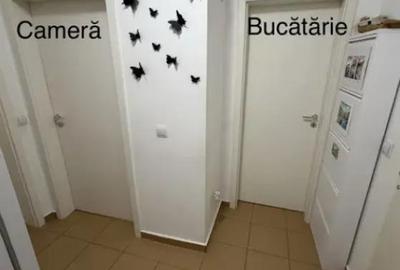 Garsonieră decomandată în Avantgarden - 7