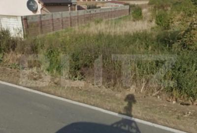 Teren de 2492 mp, în Remetea Mare - 4