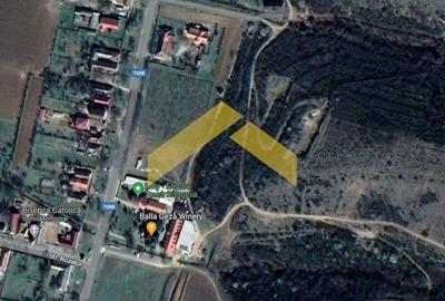 Teren intravilan pe deal Paulis, Arad - 8