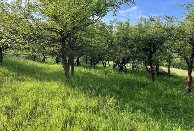 Spațiu comercial, în Central - 5