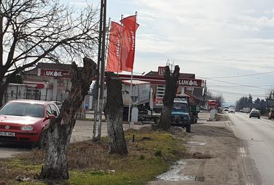 HALA 400 MP - ZIDARIE  IN CONSTRUCTIE-CU TEREN 6100 MP, DUBLU ACCES TIR BABENI - 14