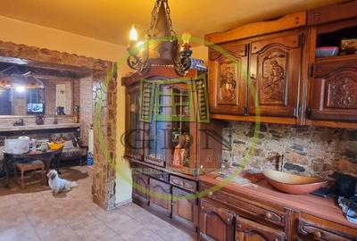 Casă individuală cu 4 camere cu Piscina în Bariera Vâlcii - 15