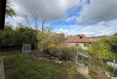 CASA SI TEREN 4.000 MP | COMUNA TRIA | JUDETUL BIHOR - 4