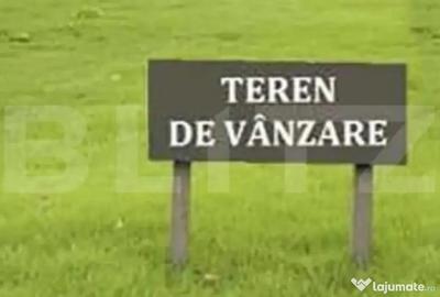 Teren de 8740 mp, în Plopi - 1