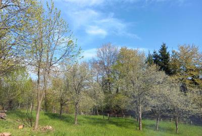 Teren de 1950 mp, în Breaza - 2