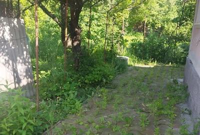 Casă cu 3 camere cu Teren 530 Mp în Central - 5