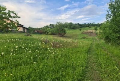 Teren Construcții intravilan de 471 mp, în Mușcel - 8