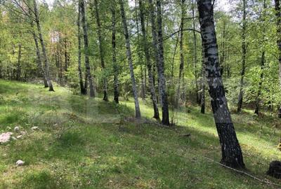 Teren, 9.746 mp, zona Cernadia - 5