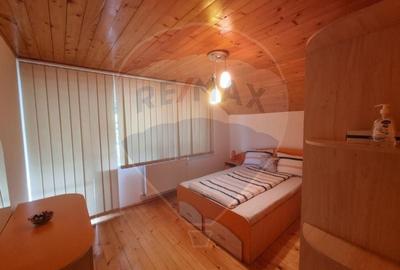 Cabana de vanzare in Valea Manastirii, Alba - 15
