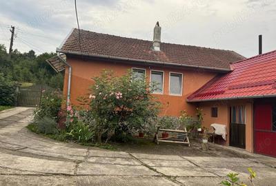 Casă cu 3 camere cu Teren 5200 Mp în Țela - 1