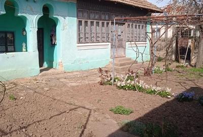 Casă cu 3 camere în Leu - 1