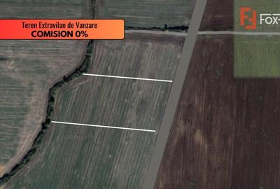 COMISION 0% Teren extravilan de vanzare in Sacalaz - 2
