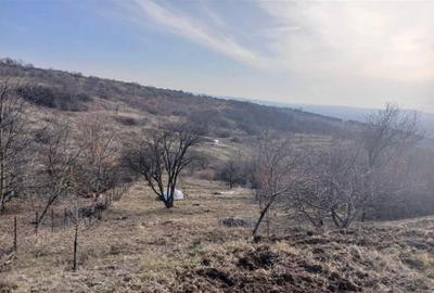 RECO Teren intravilan langa padure Pausa - 3