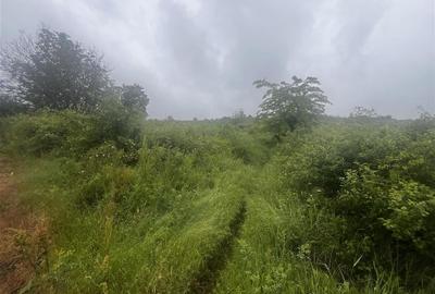 Teren intravilan, 1000mp, in Valea Calugareasca. - 7