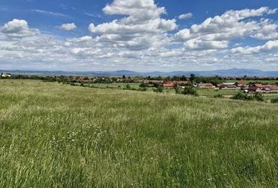 Teren de 14900 mp, în Crizbav - 7