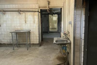 Spațiu comercial, de 380 mp, în Terezian - 7