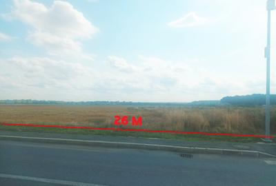 Teren Intravilan Constructii de 12.300 mp, Cu Deschidere la Sosea Asfaltata - 16
