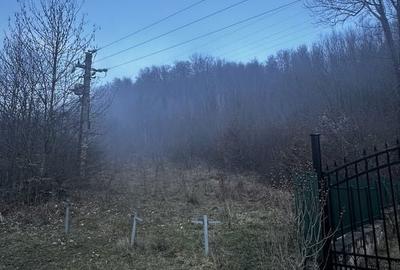 Spațiu comercial, în Moroeni - 8