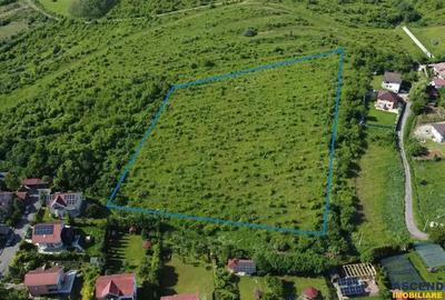 FILM!Oportunitate: 8.500mp, recomandat investitional dezvoltare,Livezeni, Mures - 9