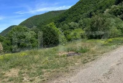 Teren în Someșu Rece - 4