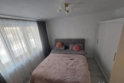 Apartament cu 2 camere decomandat, mobilat în Brazda lui Novac - 6