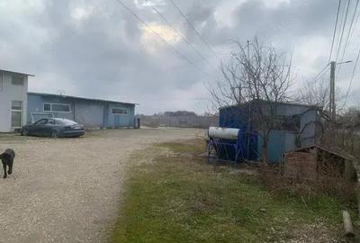 Inchiriez hala la 10 km de Timisoara! - 5