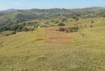 Teren agricol intravilan de 9037 mp, în Plaiul Tălii - 1