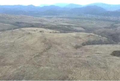 Teren de 3700 mp, în Dalboșeț - 2