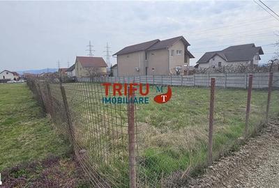 Teren de 1050 mp, în Cetate - 4