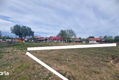 Teren de 700 mp, în Primăverii - 3