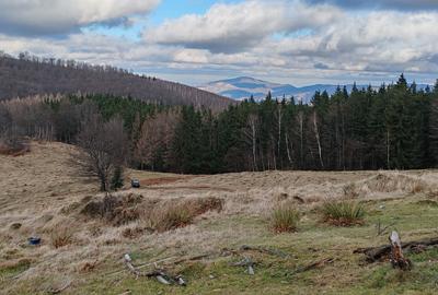 19,5 Ha  TEREN PEISAJ PANORAMIC SPECTACULOS zona turistica montana BULZ -  BIHOR - 47