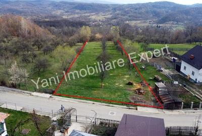 Teren de vanzare in comuna Valea Iasului, sat Cerbureni, jude? Arge?. - 13