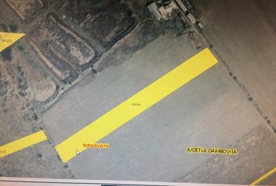 Teren de 10000 mp, în Priseaca - 4