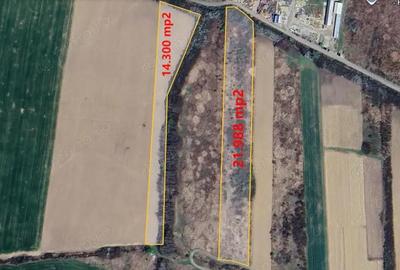 Teren extravilan de vanzare in Lugoj - 3