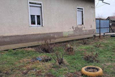 Casă cu Teren 1200 Mp în Bulgăruș - 3