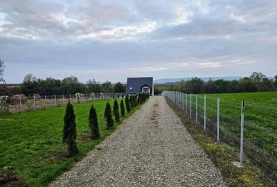 Casă cu Teren 1911 Mp în Vârfu Câmpului - 9